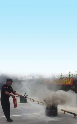 安全防范咨詢服務(wù)